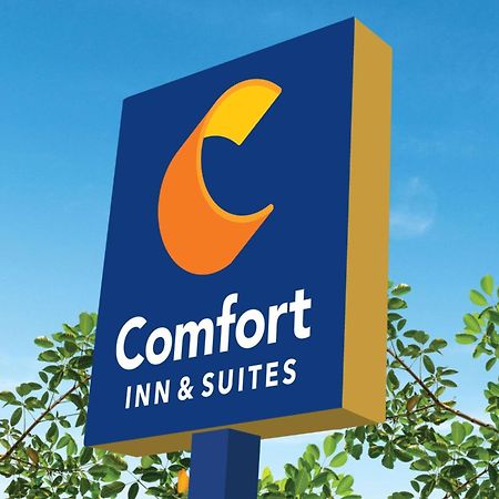 Comfort Inn & Suites Савана Екстериор снимка